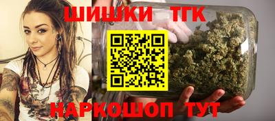 шишки Лесосибирск