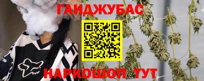 шишки Лесосибирск