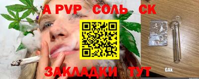 шишки Лесосибирск