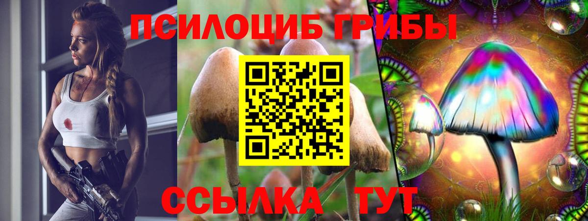 Псилоцибиновые грибы мицелий Канск