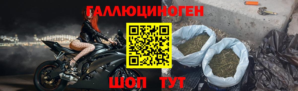 Канск  Псилоцибиновые грибы прущие грибы  дарнет шоп  Вход с VPN 